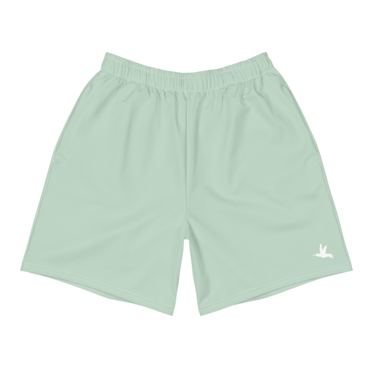 Men's Board Shorts in Pastel Green 💧🔆