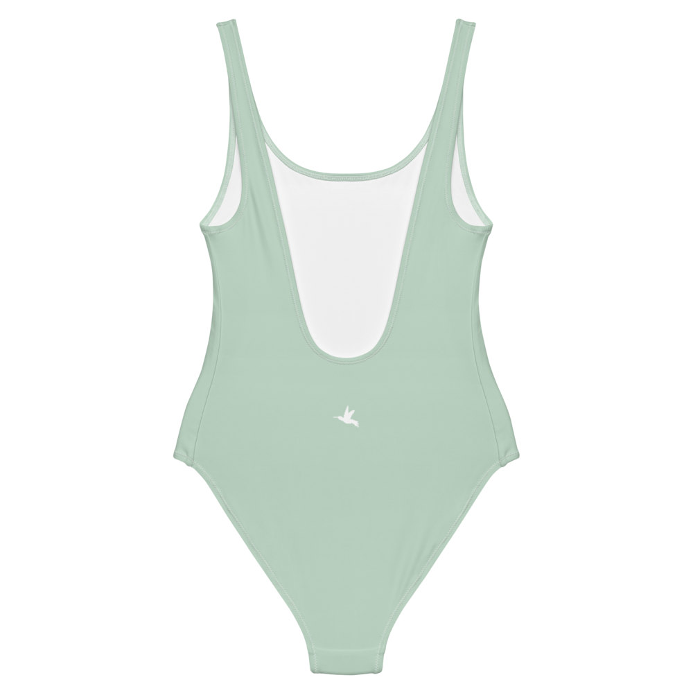 One-Piece Swimsuit in Pastel Green 💧🔆